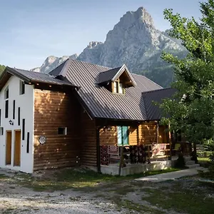 Delight Guest house
